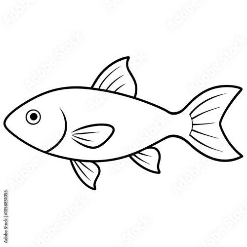 illustration of a fish