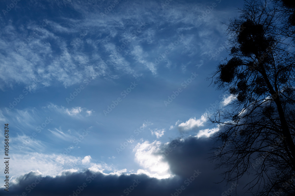Tree silhouette against dramatic cloud Tree silhouette against dramatic cloud