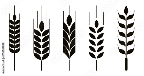grain wheat icon