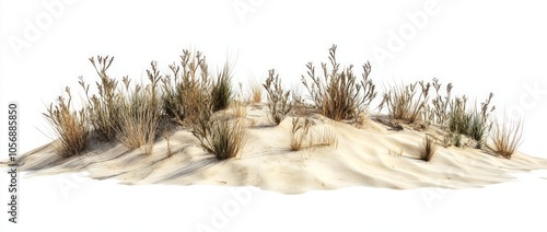 Fototapeta Naklejka Na Ścianę i Meble -  Desert Dune Landscape with Plants