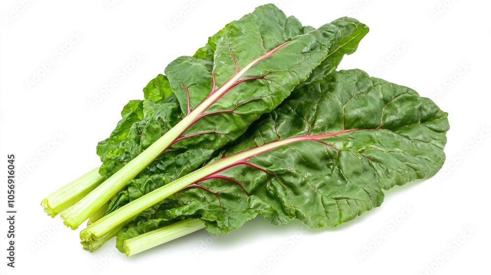Fresh green chard leaves set against a white background Fresh green chard leaves set against a white background