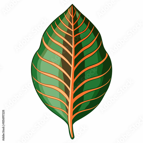 croton leaf