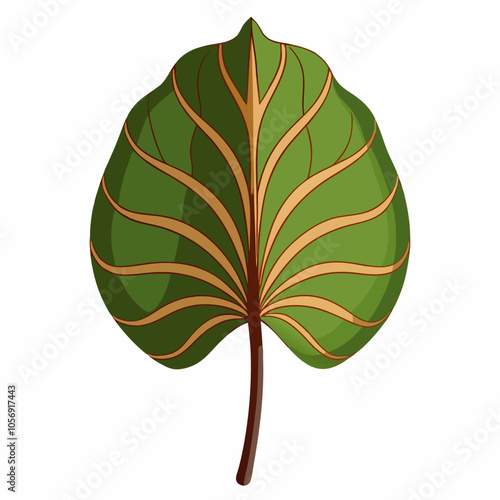 elephant ear leaf