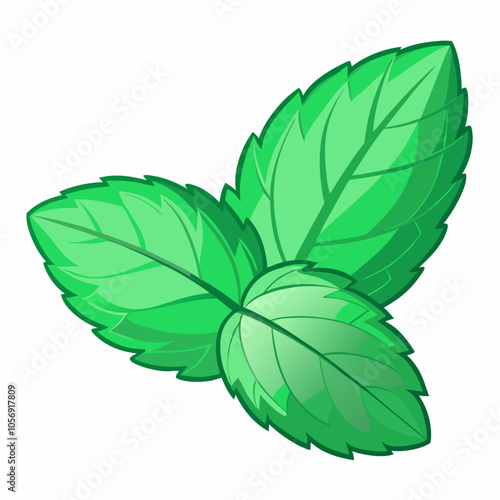 mint leaf