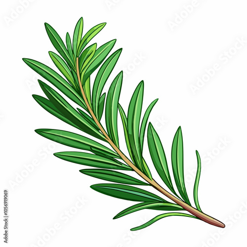 rosemary leaves