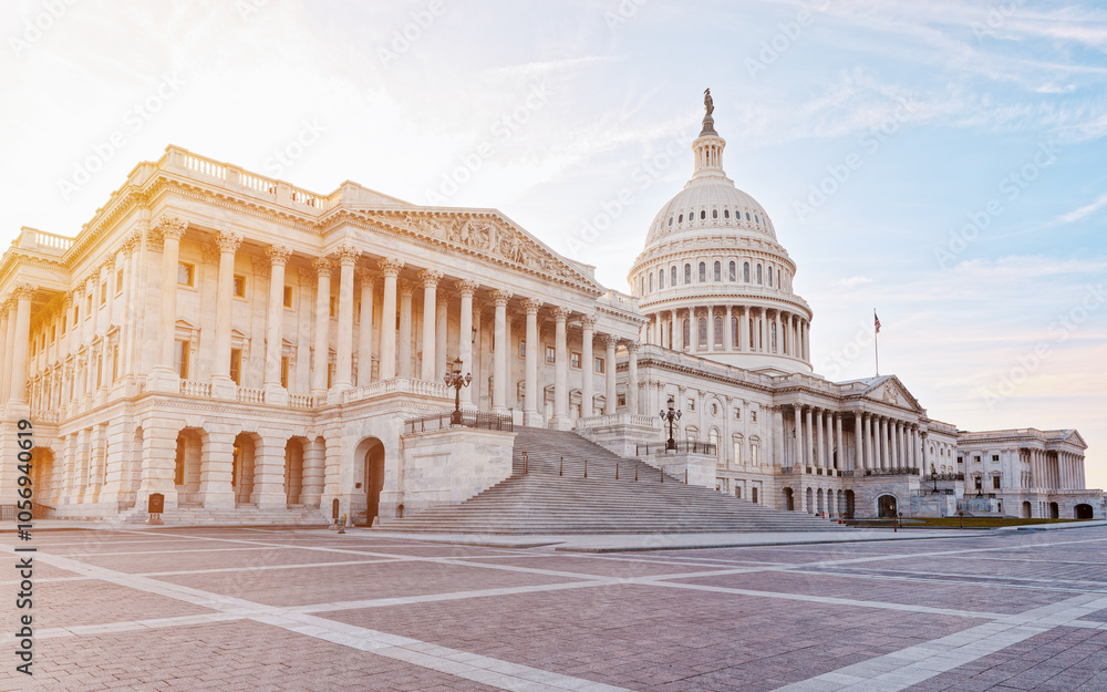 Fototapeta premium United States Capitol in Washington, D.C., USA.