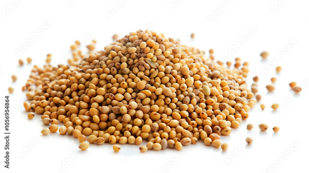 Mustard Seeds isolated on pure white background Mustard Seeds isolated on pure white background