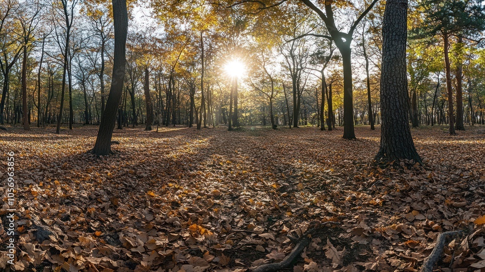 Golden Autumn Forest Golden Autumn Forest