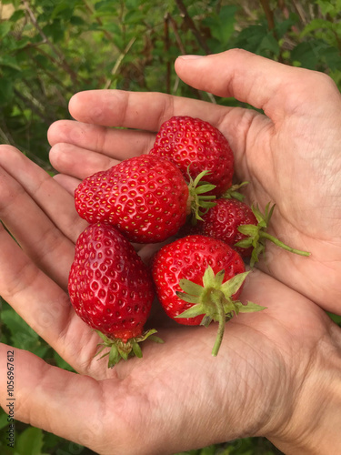 handful of strawberries