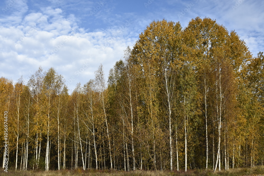 Autumn landscapes in Warmia Poland Autumn landscapes in Warmia Poland