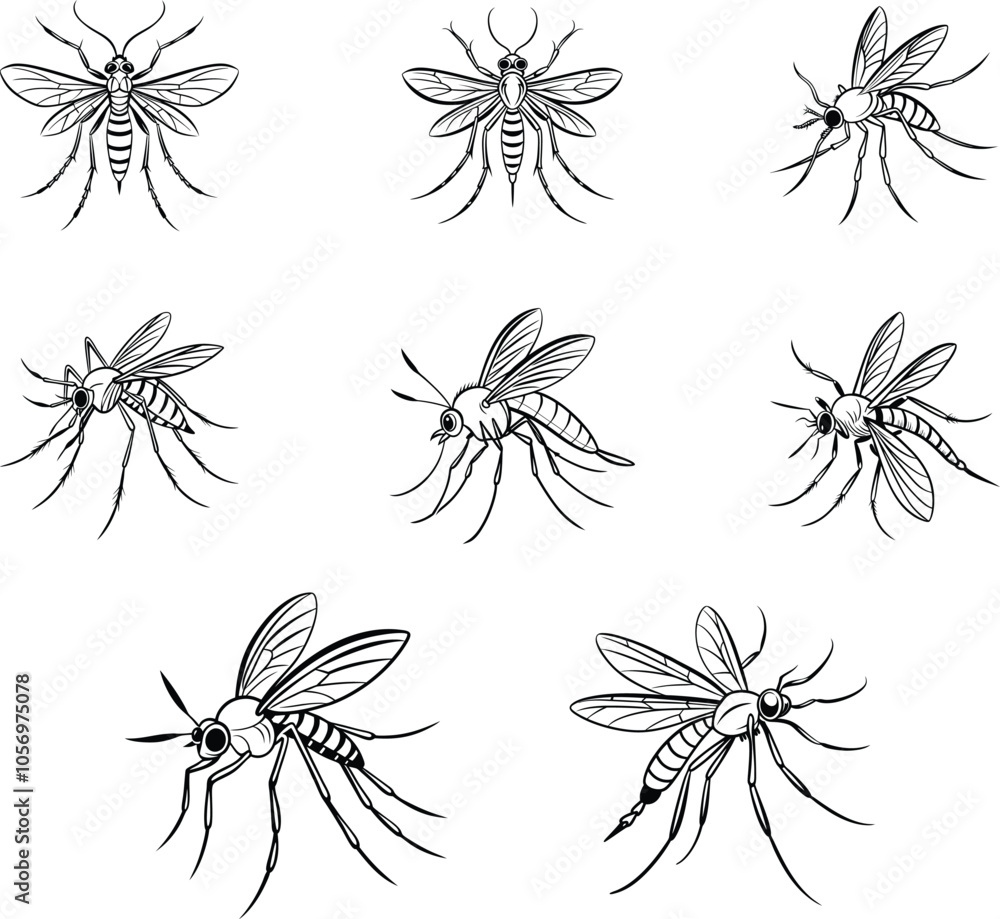 Vector Design of a Mosquito Vector Design of a Mosquito