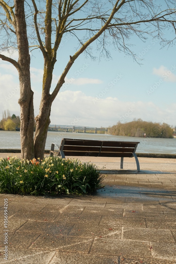 Cozy bench located in the park near the lake.