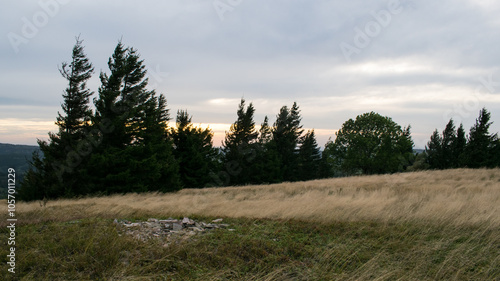 Pańska Góra (Panský kopec) is a hill in Orlické Mountains.