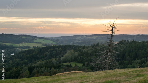 Pańska Góra (Panský kopec) is a hill in Orlické Mountains. photo