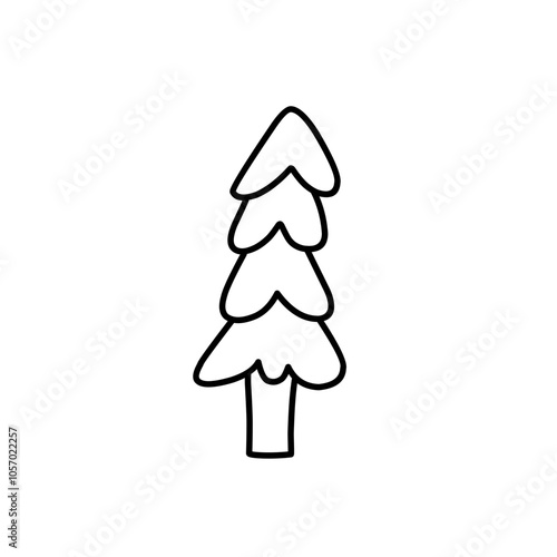 abstract conifer pine fir 