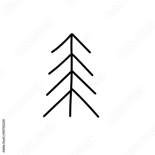 abstract conifer pine fir 