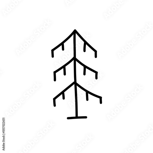 abstract conifer pine fir 