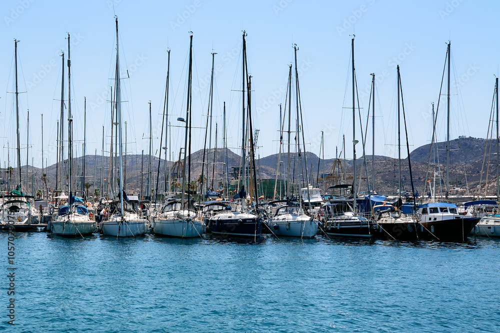 Fototapeta premium Broccoli dish with wooden spoons.