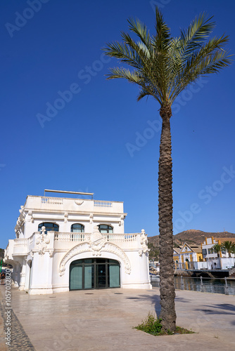 White neoclassical building with a tall palm tree photo