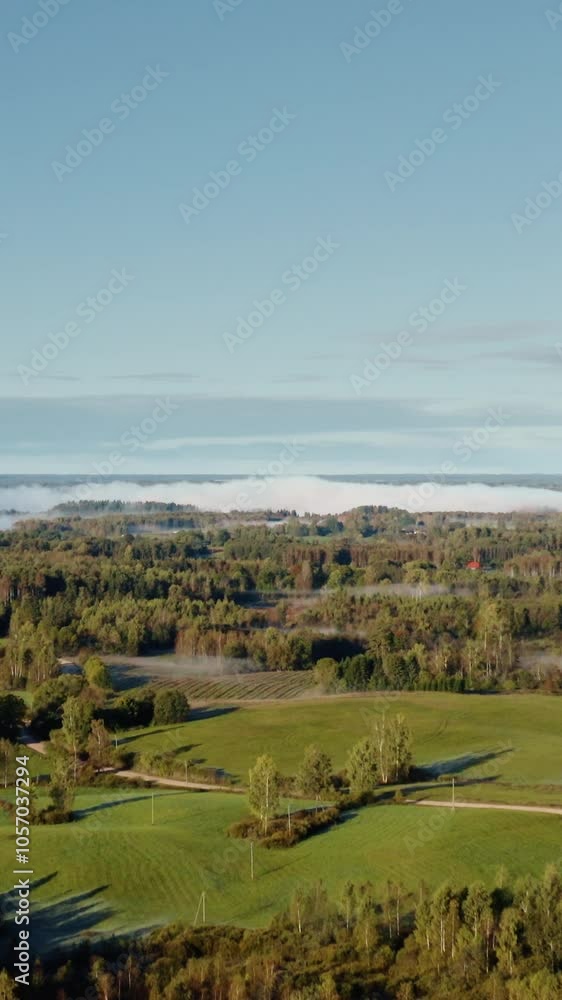 Vertical aerial video of early morning in countryside with fog above lake. Verdant forest landscape. Vertical aerial video of early morning in countryside with fog above lake. Verdant forest landscape.