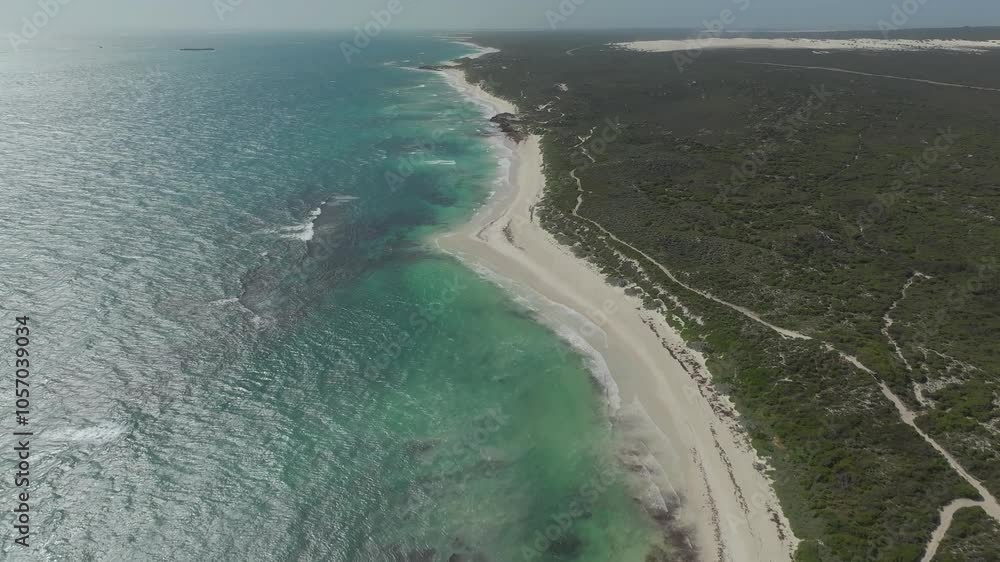 Rising aerial shot looking north along the Western Australian coastline at endless beaches, an island, tracks through the bushes and a sand dune system.