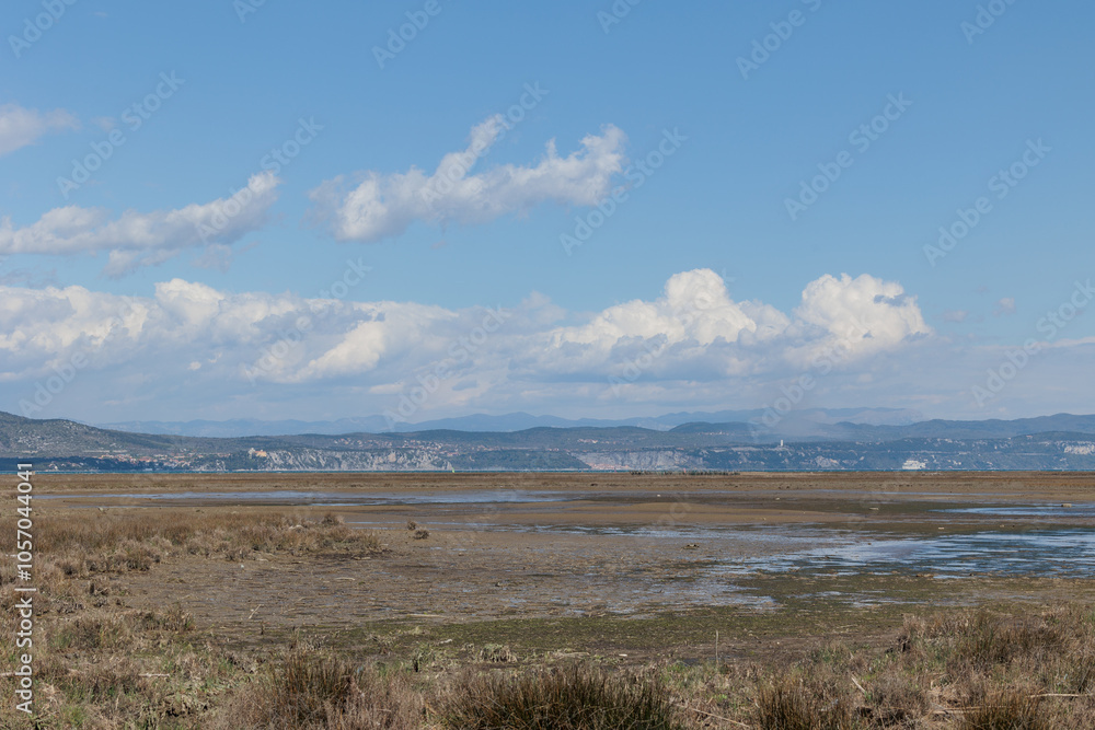 vista panoramica sull'ambiente naturale che si estende dall'area di palude alla foce del fiume Isonzo fino alla costa e alle colline vicine alla Slovenia e alla città di Trieste, di giorno vista panoramica sull'ambiente naturale che si estende dall'area di palude alla foce del fiume Isonzo fino alla costa e alle colline vicine alla Slovenia e alla città di Trieste, di giorno