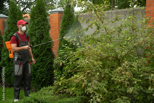Foto Gardener wearing a protective mask is spraying insecticide on garden plants