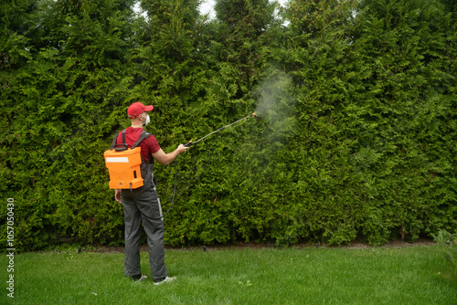 A landscaping professional applies treatment to lush green hedges in a residential backyard. The worker uses a backpack sprayer for effective coverage.