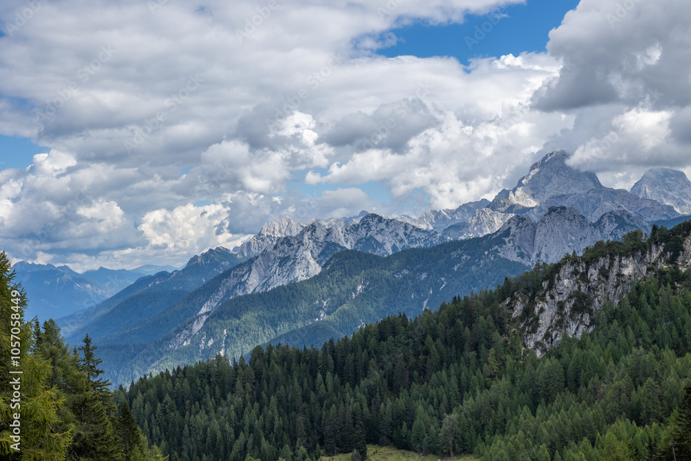 Fototapeta premium dettaglio su varie catene montuose alpine, nell'Italia nord orientale, coperte da verdi foreste, di pomeriggio, in estate, sotto un cielo nuvoloso