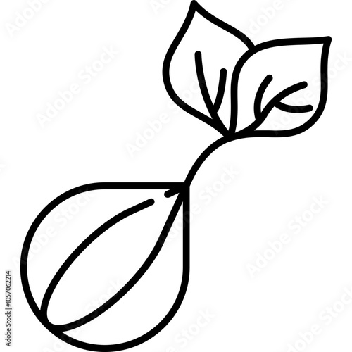 Germination Icon