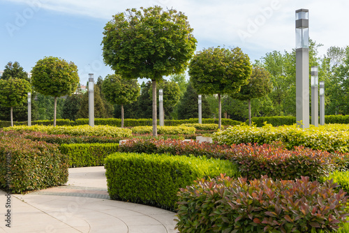 French garden is located in Krasnodar park. Flowering topiary bushes of photinia and spherical maples of Acer grow in French garden in landscaped city park of Galitsky. Spring theme. 2024.