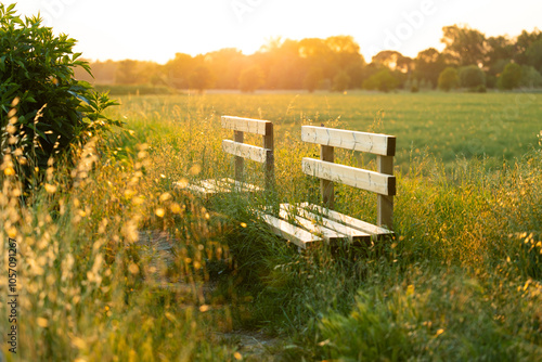 Obraz na płótnie bellissima composizione dettagliata che mostra due panchine di legno in mezzo all'erba, in controluce, in un ambiente naturale di campagna, col sole che tramonta sullo sfondo w salonie