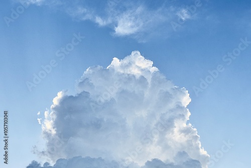 Εκτύπωση καμβά This image captures a beautiful, fluffy cloud against a clear blue sky