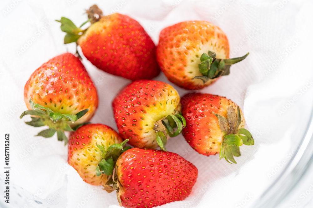 Washed and Dried Strawberries Neatly Stored in a Glass Bowl Washed and Dried Strawberries Neatly Stored in a Glass Bowl