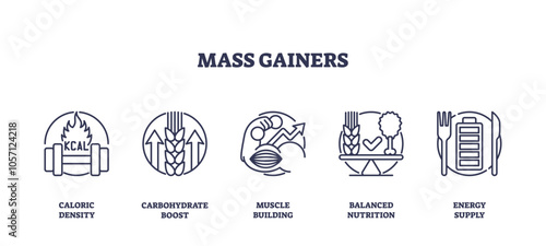 Mass gainers focus on caloric density, carbohydrate boost, and muscle building. Outline icons set