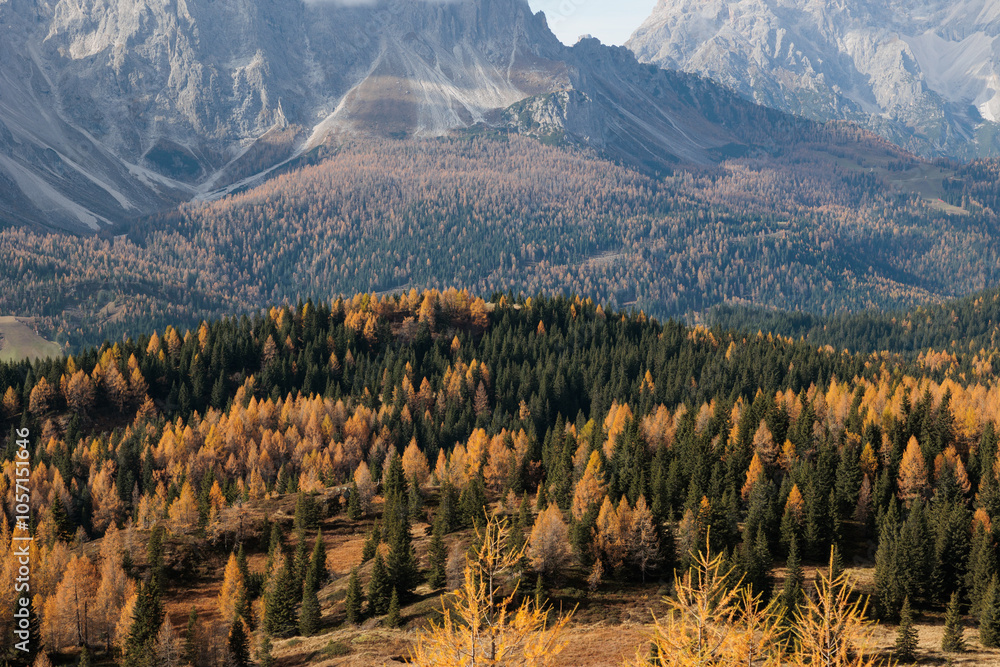 vista dettagliata di varie catene montuose basse ricoperte da foreste, che si estendono in lontananza fino alle cime rocciose più alte con pareti molto ripide, nel nord Italia, in autunno