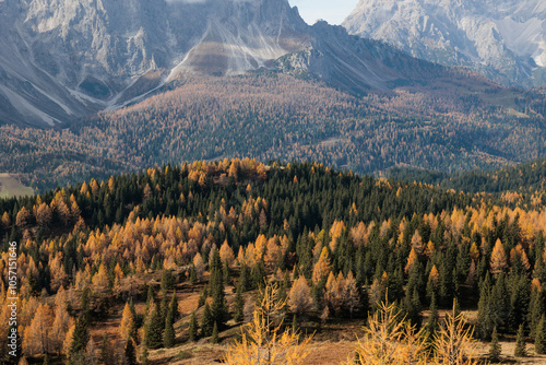 Obraz na płótnie vista dettagliata di varie catene montuose basse ricoperte da foreste, che si estendono in lontananza fino alle cime rocciose più alte con pareti molto ripide, nel nord Italia, in autunno w salonie