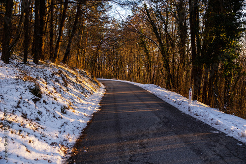 strada che attraversa un fitto bosco di alberi spogli, nella colline slovene, col terreno ai bordi innevato, illuminato dalla luce gialla del sole al tramonto, in inverno photo