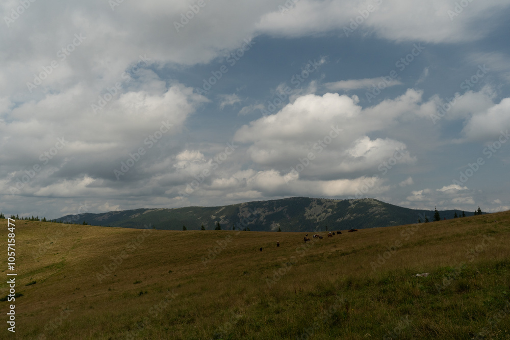 Fototapeta premium clouds over the mountains