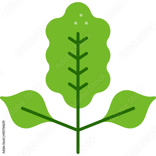 Arugula Icon