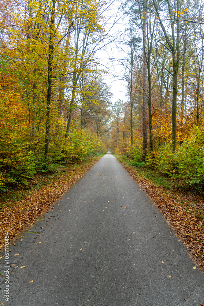 Naklejka premium Whispers of Autumn: A Symphony of Orange and Gold at Stuttgart’s Hidden Gem, Bärensee