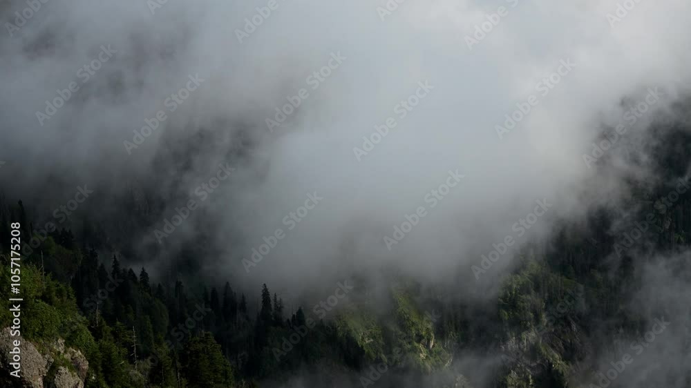 Scenic view of a mist-covered mountain valley, surrounded by dense forest and rugged rocky cliffs. The low-hanging clouds create a mysterious and tranquil atmosphere, partially obscuring the lush Scenic view of a mist-covered mountain valley, surrounded by dense forest and rugged rocky cliffs. The low-hanging clouds create a mysterious and tranquil atmosphere, partially obscuring the lush