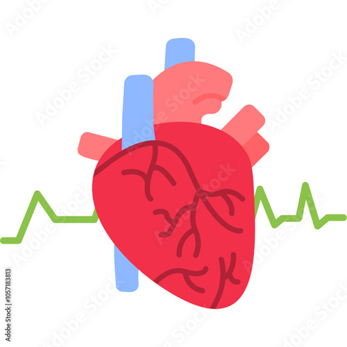 Heart Anatomy Icon