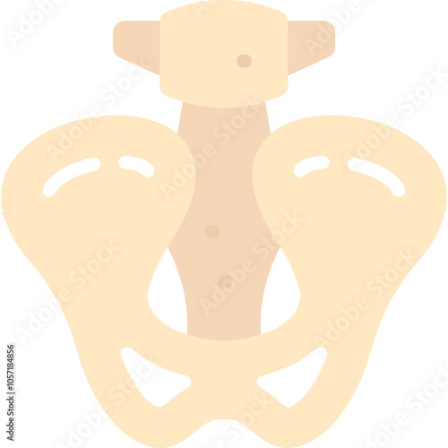 Pelvis Icon