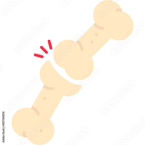 Patella Icon
