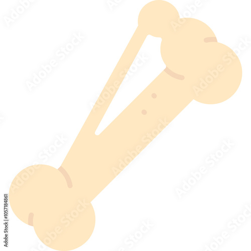Fibula Icon