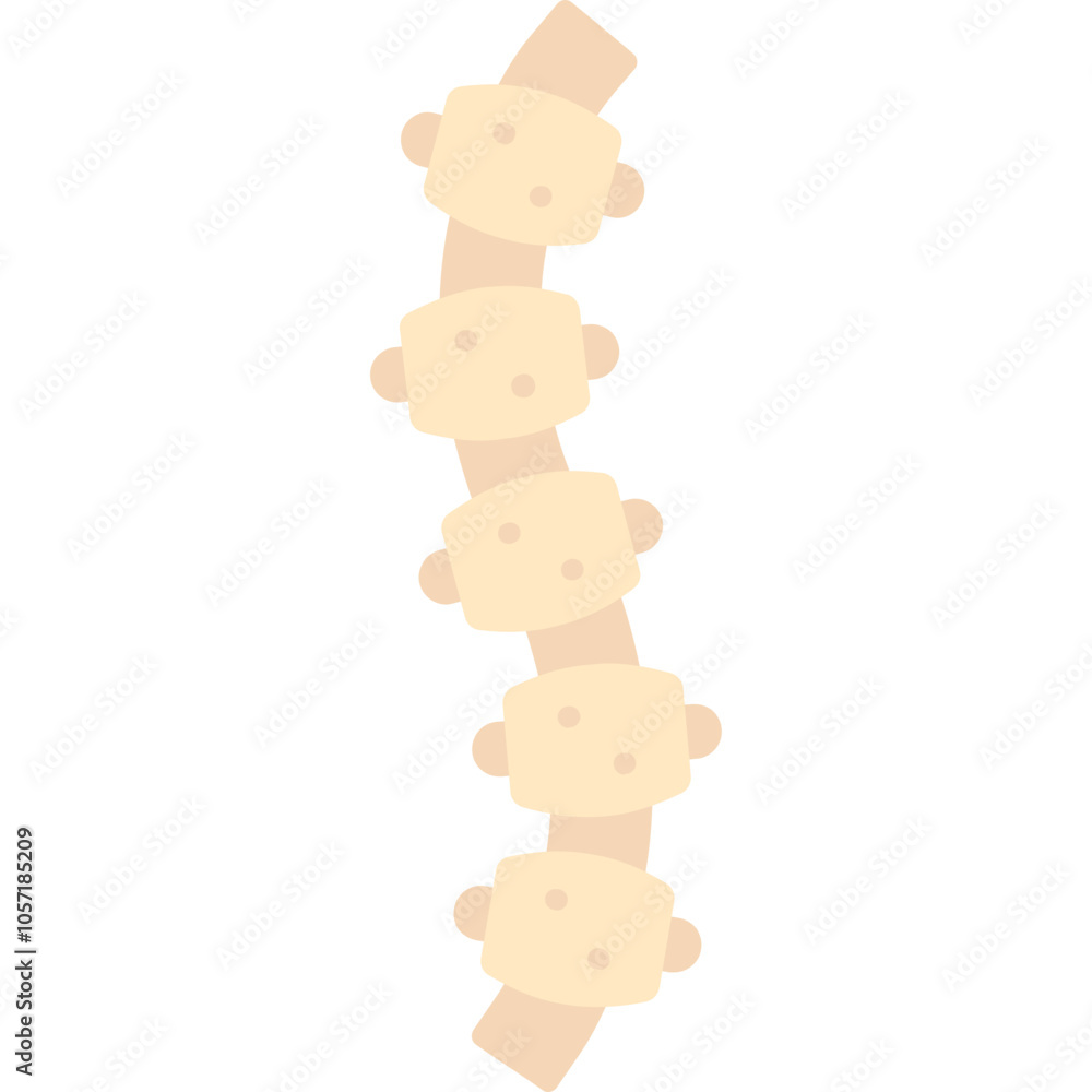 Lordosis Icon Lordosis Icon