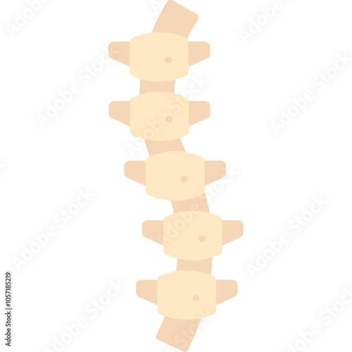 Kyphosis Icon