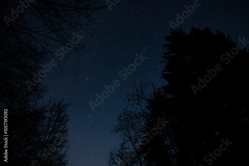 fotografia che mostra il cielo stellato e sereno di notte, visto dal basso e da sotto gli alberi di un bosco di montagna, nel nord Italia photo