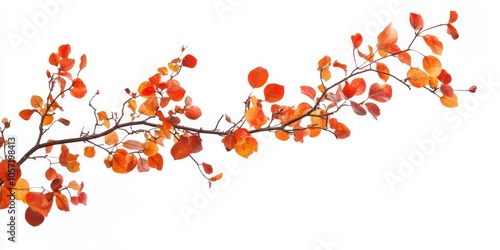 Wallpaper Mural Isolated autumn branch with vibrant fall colors on a white background, showing detailed cutout with clear textures, high resolution and DSLR quality. Torontodigital.ca